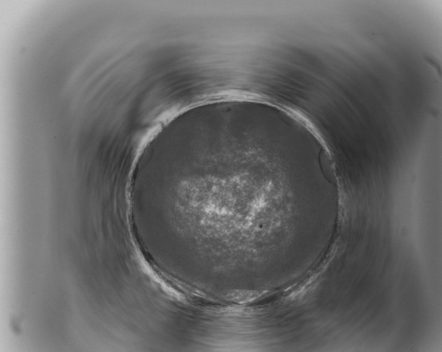 X0000100211381200806201435