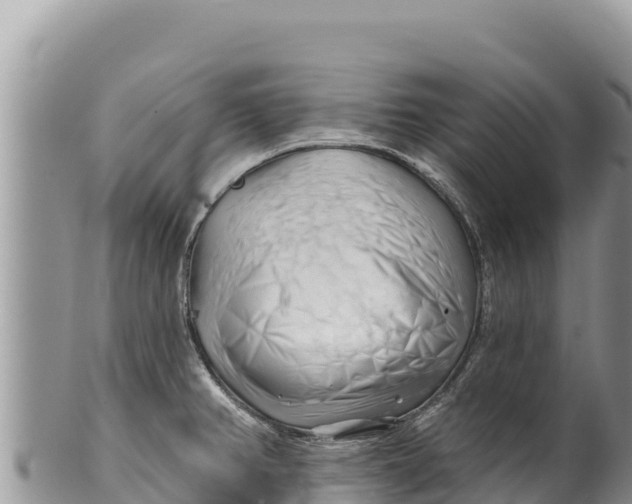 X0000100211382200806201435