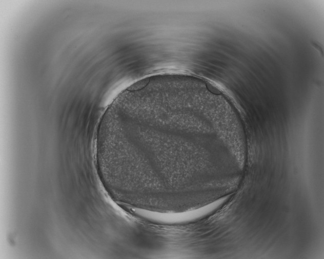 X0000100211383200806201435