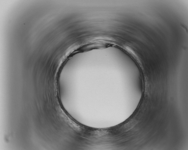 X0000100211384200806201434