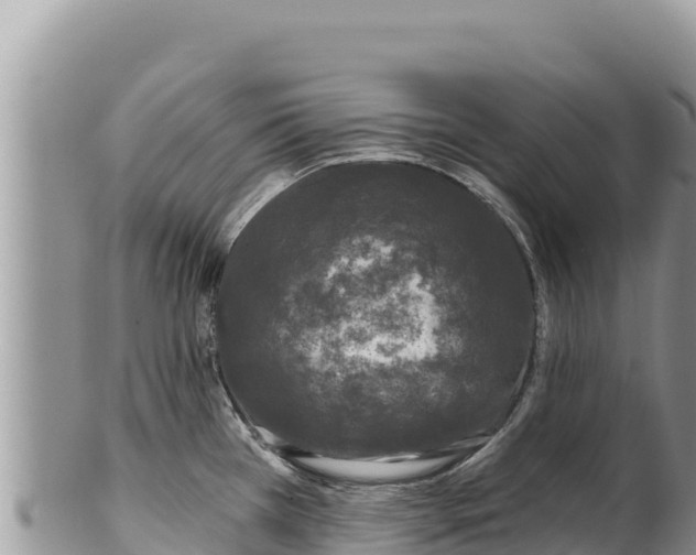 X0000100211385200806201434