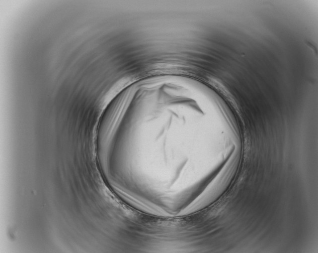 X0000100211386200806201434