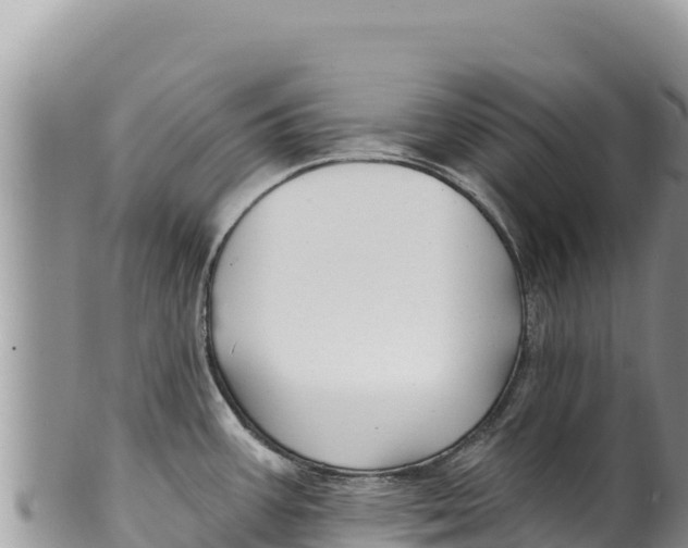 X0000100211387200806201434