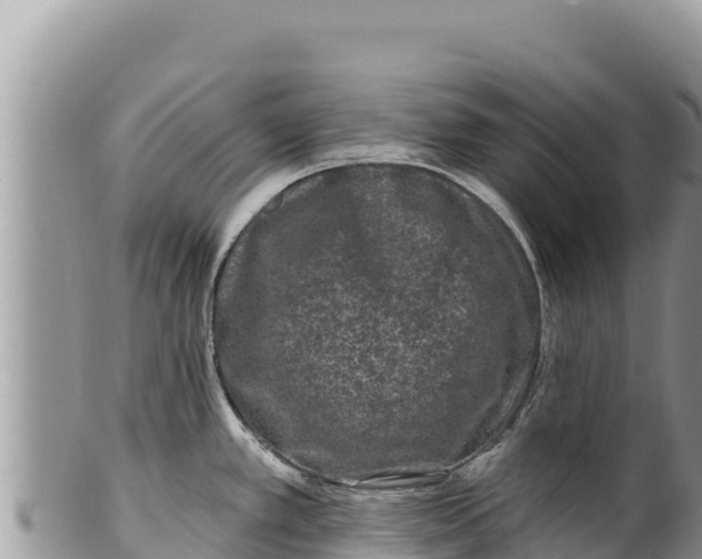 X0000100211389200806201434