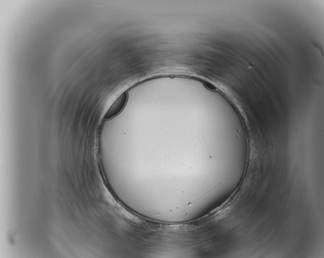 X0000100211390200806201434