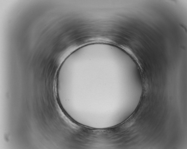 X0000100211391200806201434