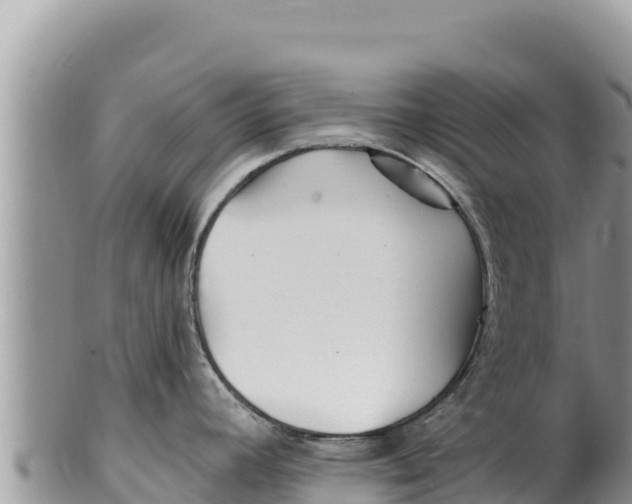 X0000100211392200806201434