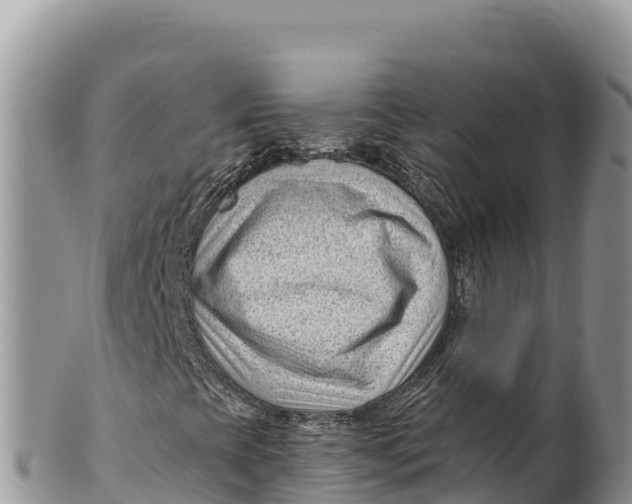 X0000100211393200806201434