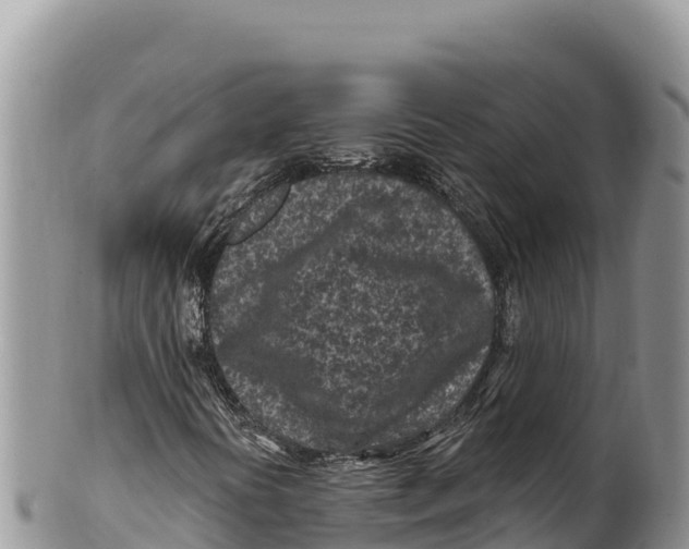 X0000100211394200806201434