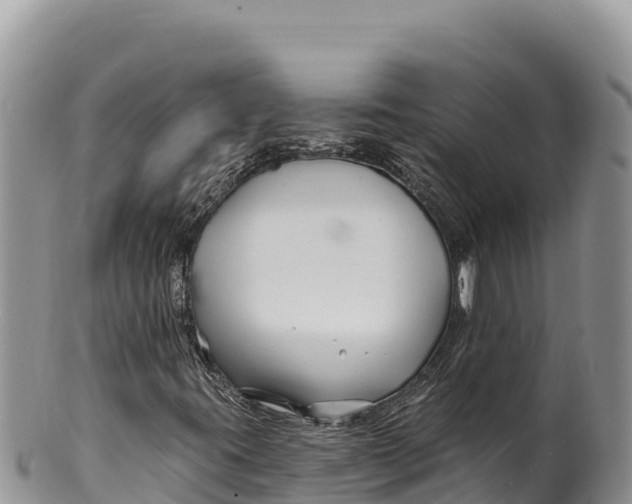 X0000100211395200806201434