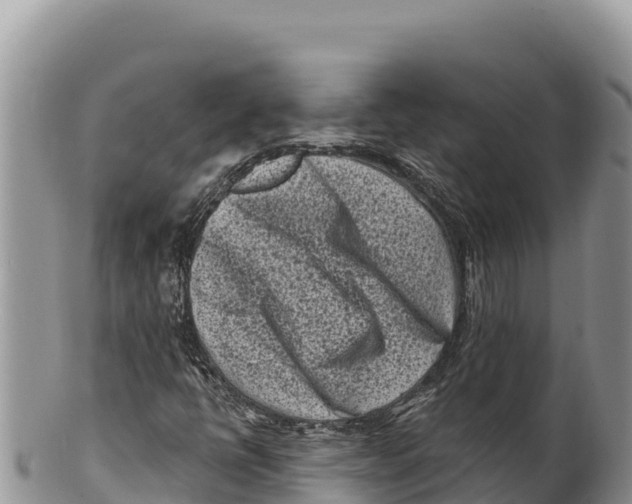 X0000100211398200806201434