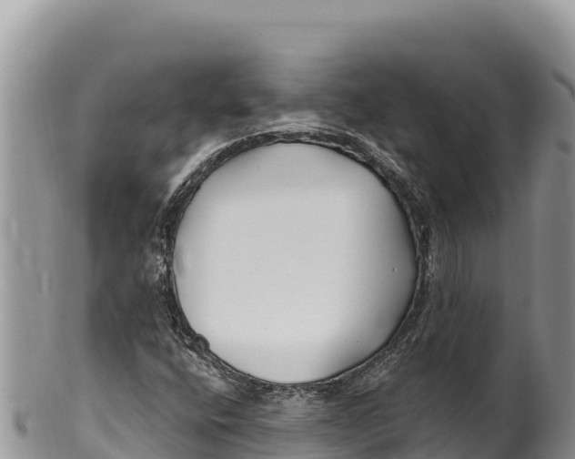 X0000100211400200806201434