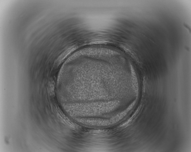 X0000100211401200806201434