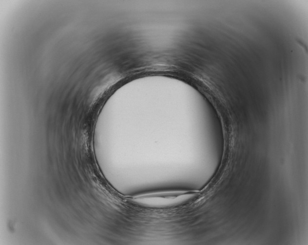 X0000100211402200806201434