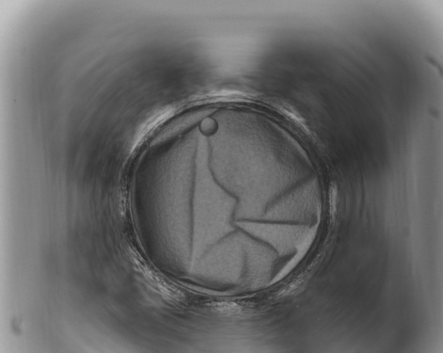 X0000100211405200806201434