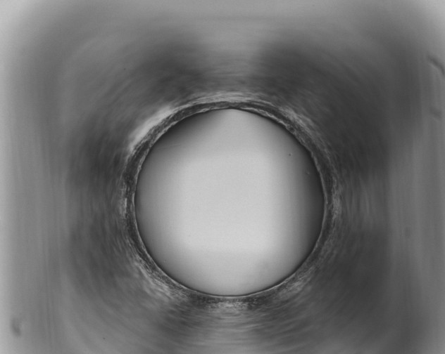 X0000100211406200806201434