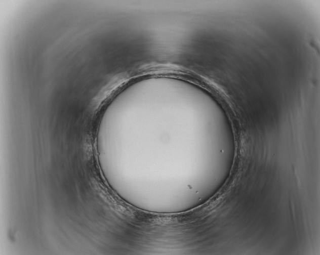 X0000100211407200806201434