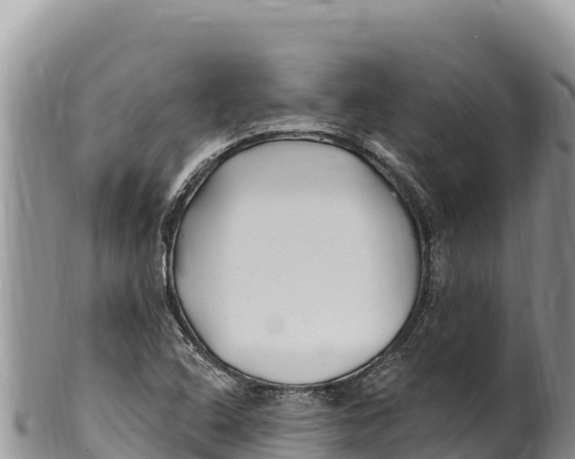 X0000100211408200806201434