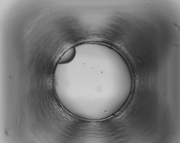 X0000100211409200806201434