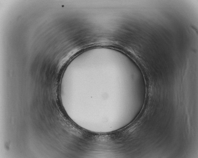 X0000100211410200806201434