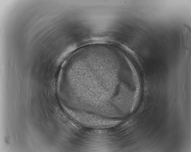 X0000100211411200806201434