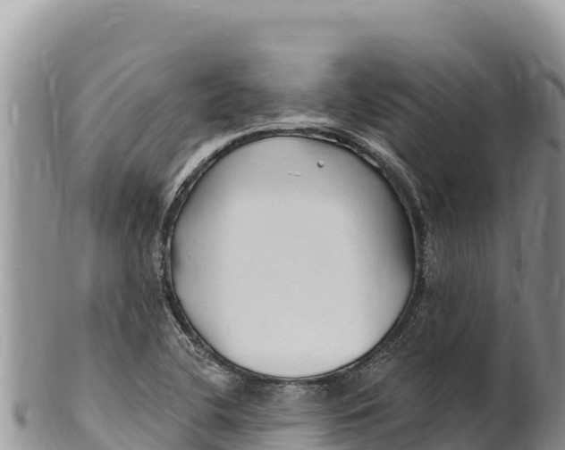 X0000100211412200806201434