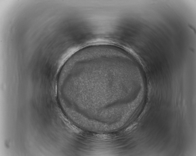 X0000100211413200806201434