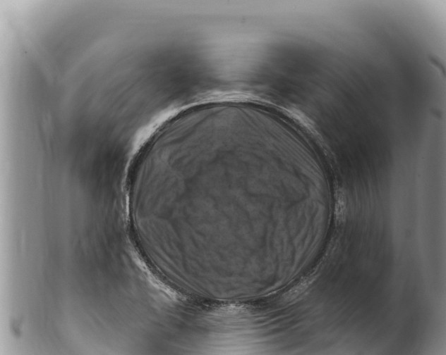 X0000100211414200806201434