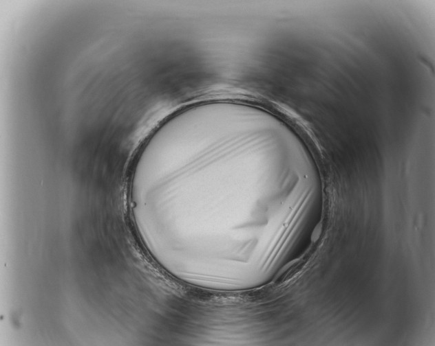 X0000100211415200806201434