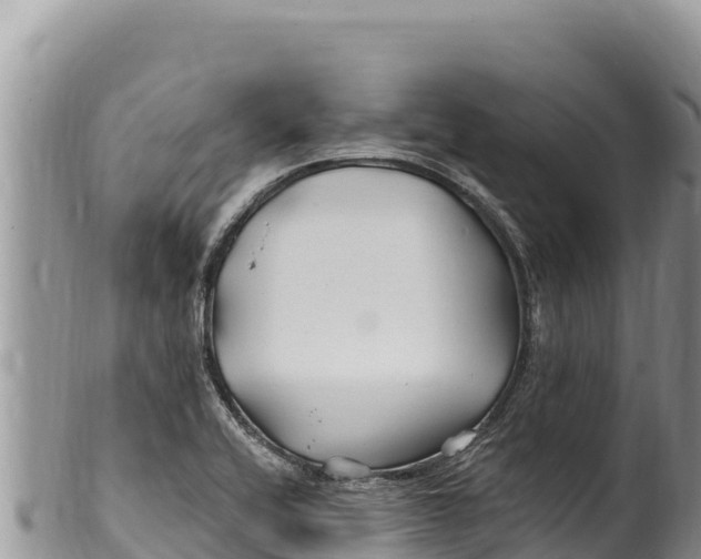 X0000100211416200806201434