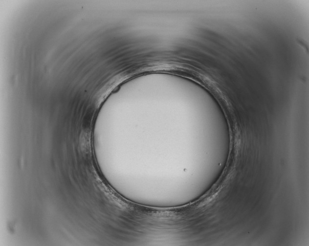 X0000100211417200806201434