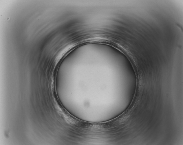 X0000100211418200806201434