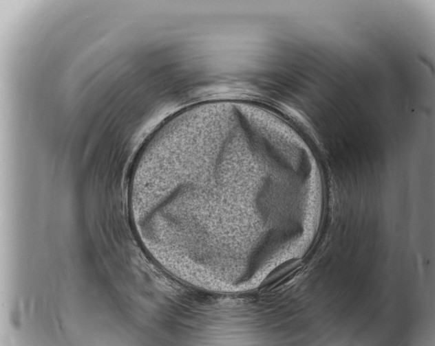 X0000100211419200806201434