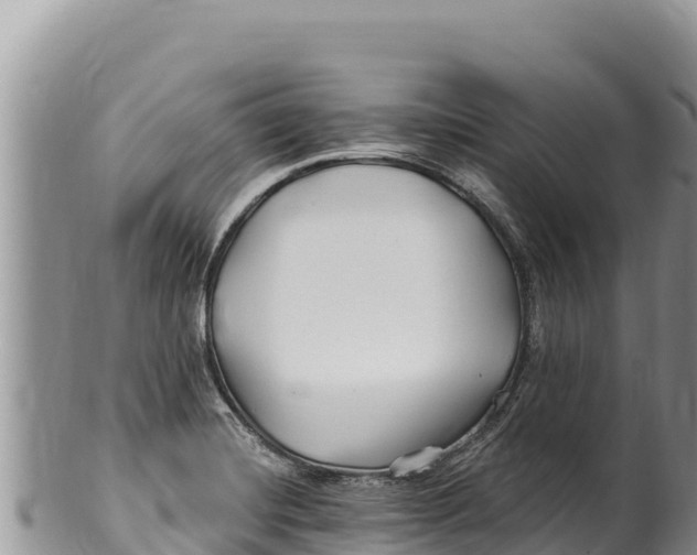 X0000100211420200806201434