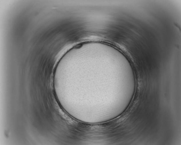 X0000100211421200806201434