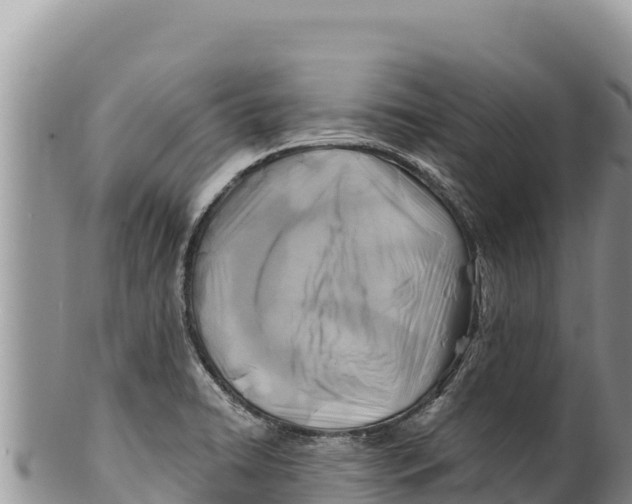 X0000100211422200806201434