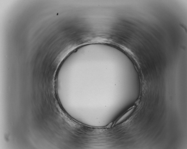 X0000100211423200806201434