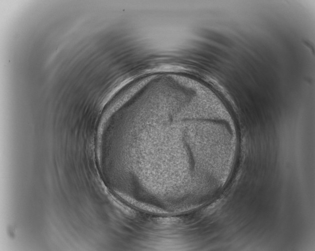 X0000100211425200806201434