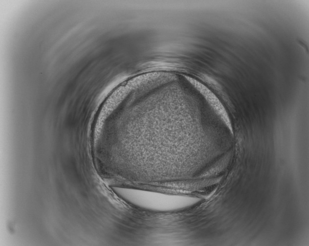 X0000100211427200806201434