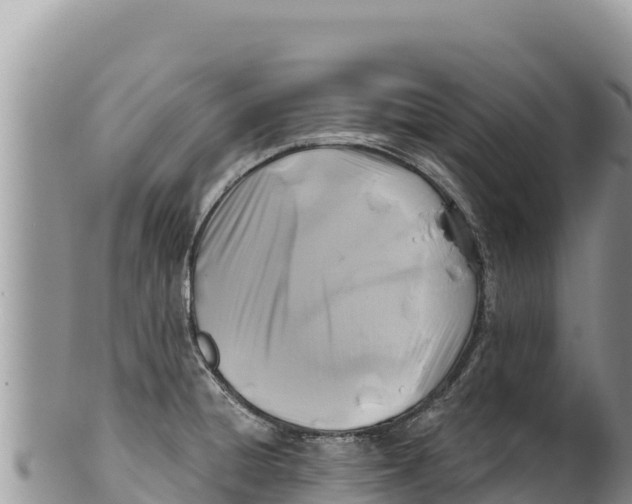 X0000100211428200806201434