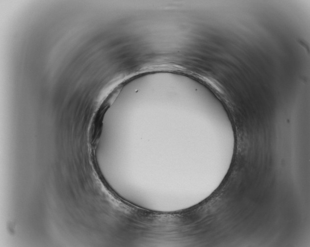 X0000100211430200806201434