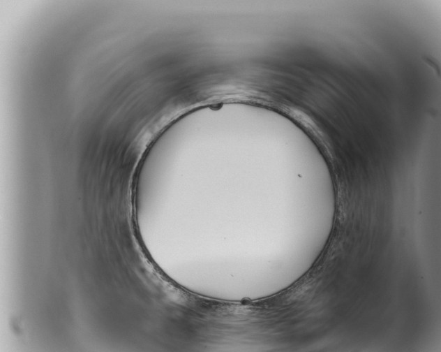 X0000100211431200806201434