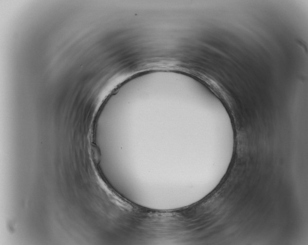 X0000100211432200806201434