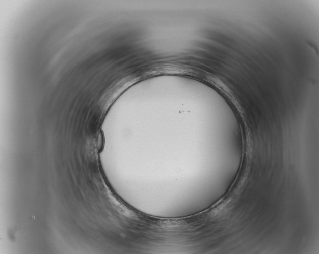 X0000100211433200806201434