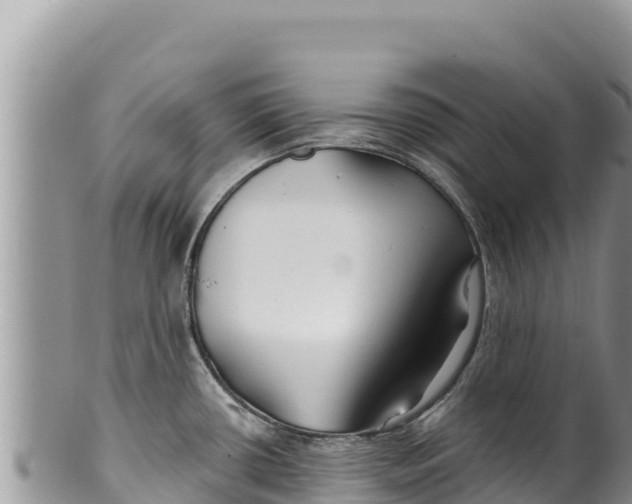 X0000100211434200806201434