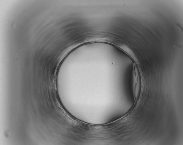 X0000100211436200806201434