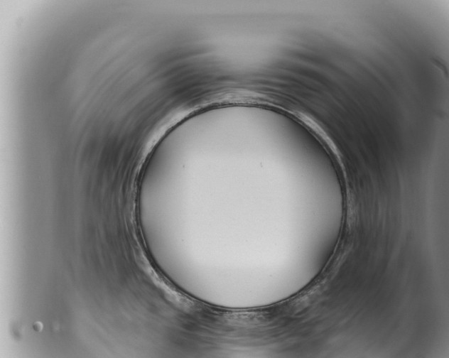 X0000100211437200806201434