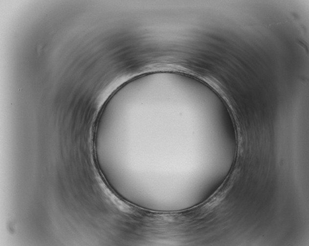 X0000100211438200806201434