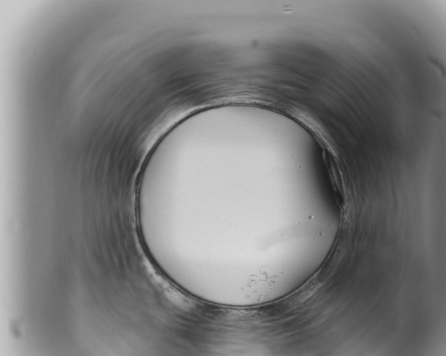 X0000100211439200806201434