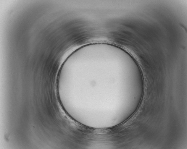 X0000100211440200806201434